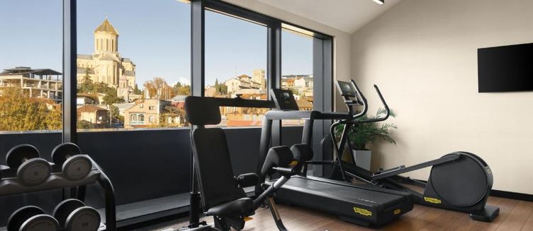 Фото отеля Novotel Tbilisi Center