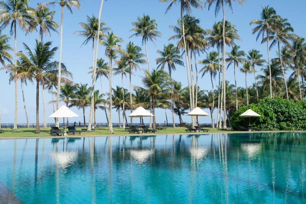 The Blue Water фото 43