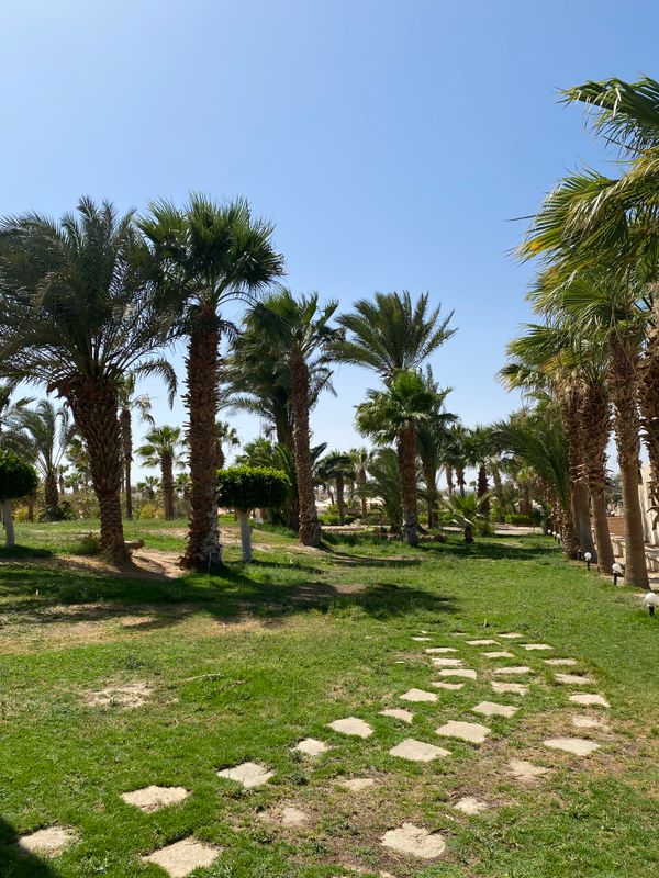 Coral Beach Hurghada фото 60