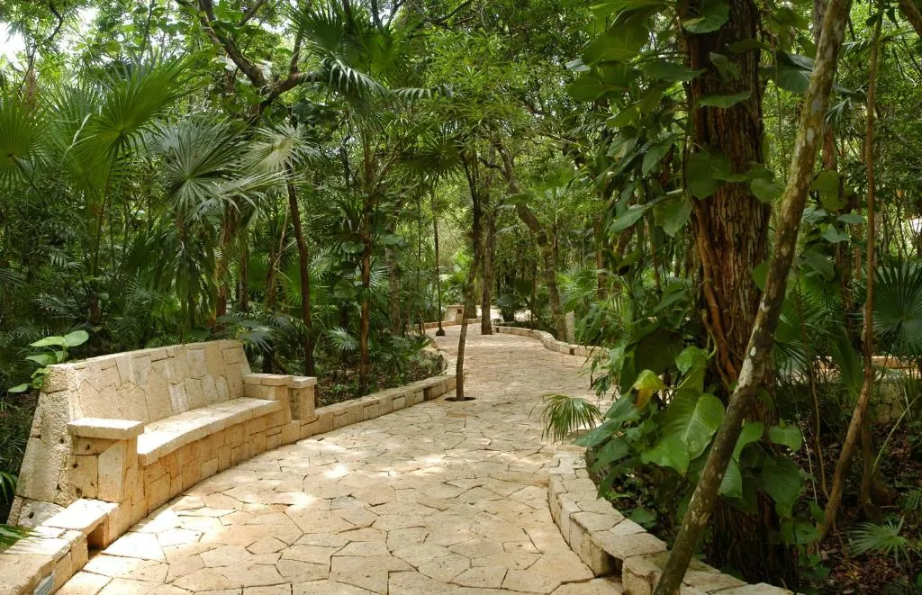 Catalonia Royal Tulum Beach & Spa Resort (Adults Only) фото 32