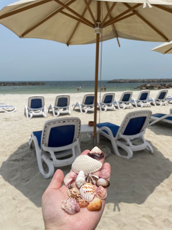 Sheraton Sharjah Beach Resort & Spa фото 66
