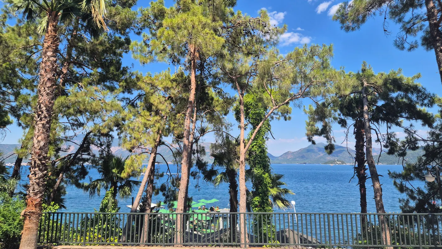 Grand Yazici Club Marmaris Palace фото 63