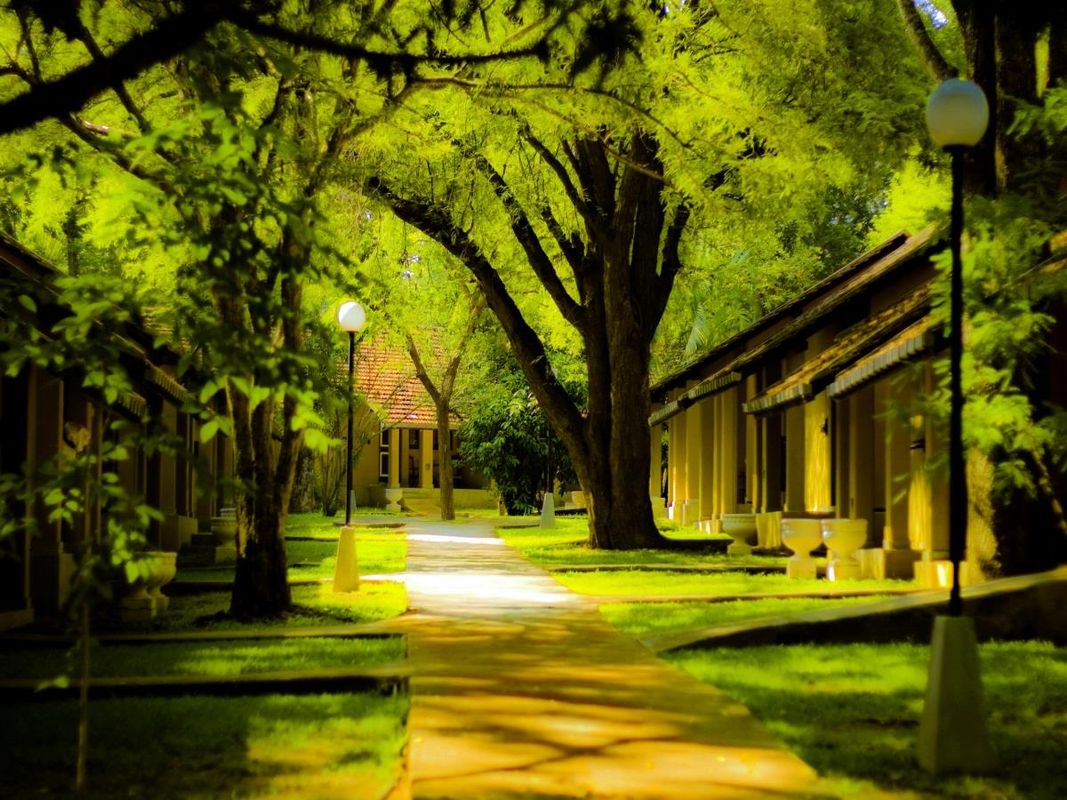 Habarana Village by Cinnamon фото 13