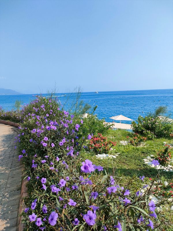 Kemer Star Hotel фото 56