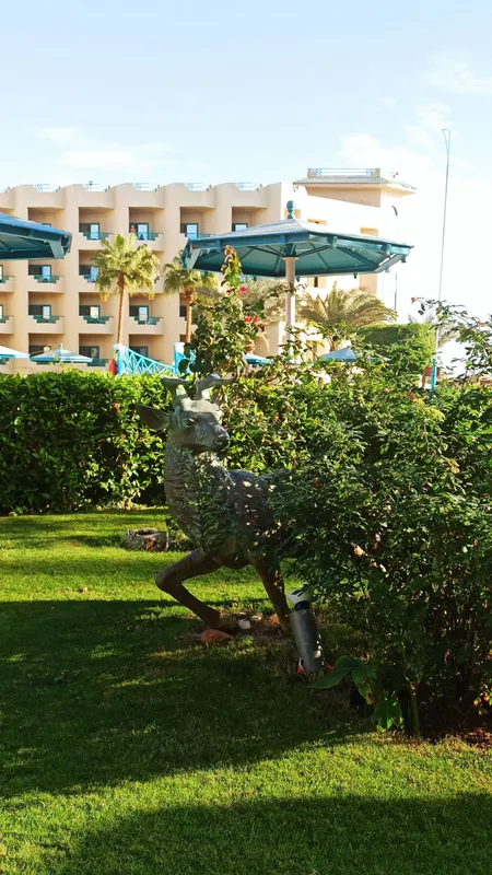 Moreno Horizon Spa & Resort фото 65