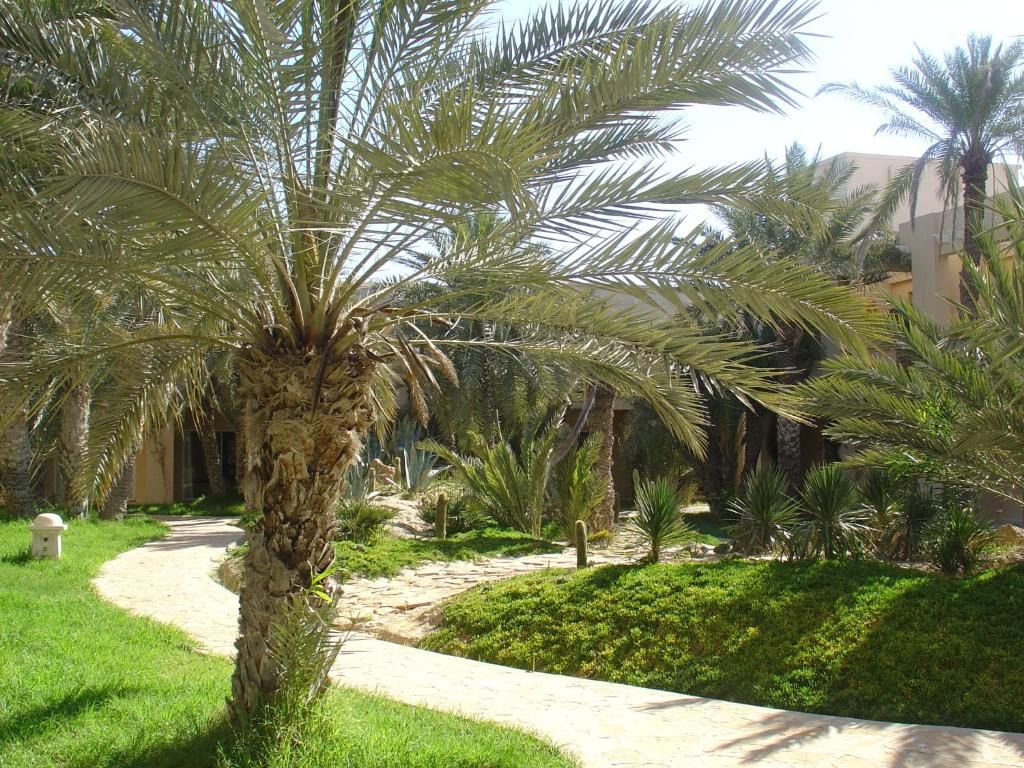 Zita Beach фото 32