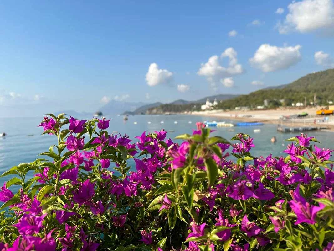 Club Hotel Phaselis Rose фото 145