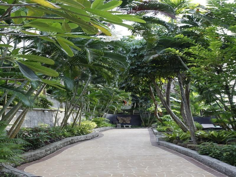 Patong Cottage Resort фото 3