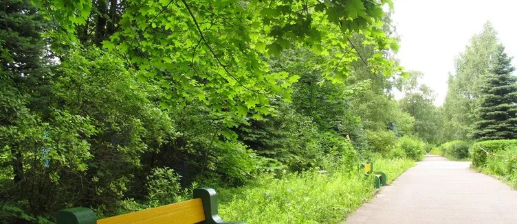 Фото отеля Санаторий «Сосны»