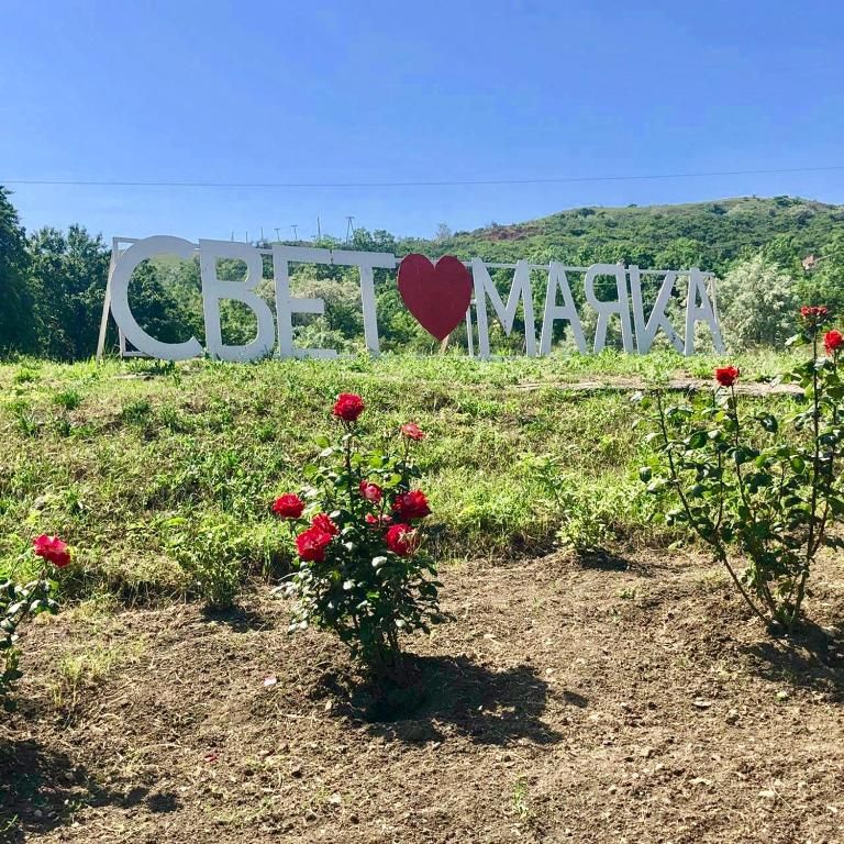Свет Маяка фото 12