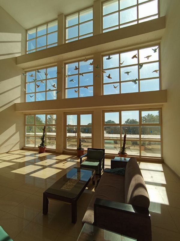 Sural Resort фото 69