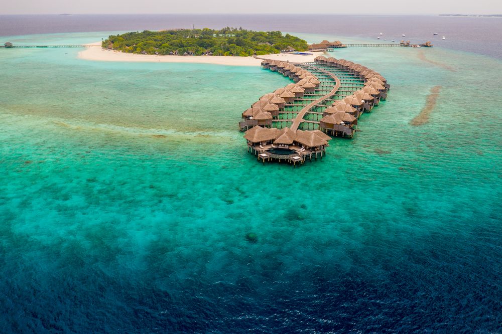 JA Manafaru фото 36