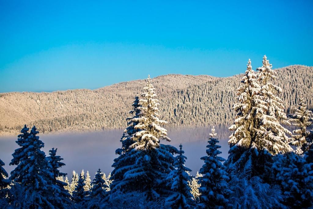 Sunny Hills Ski and Wellness фото 12