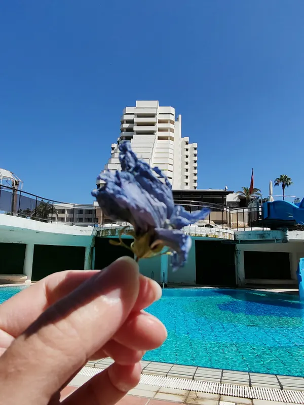 Ozkaymak Falez Hotel фото 49