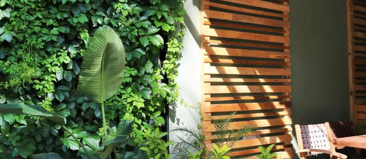 Фото отеля Simge Pension