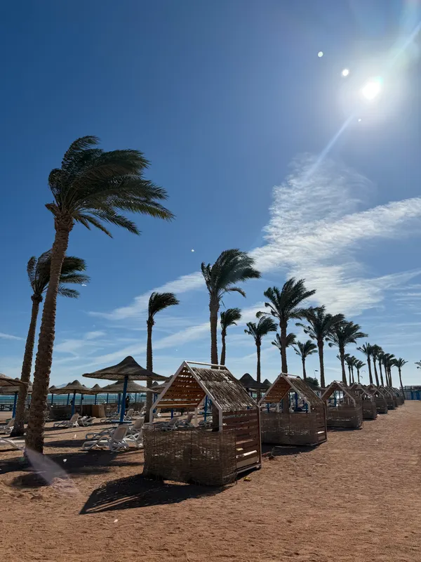 Edge Rotana Sea Beach фото 106