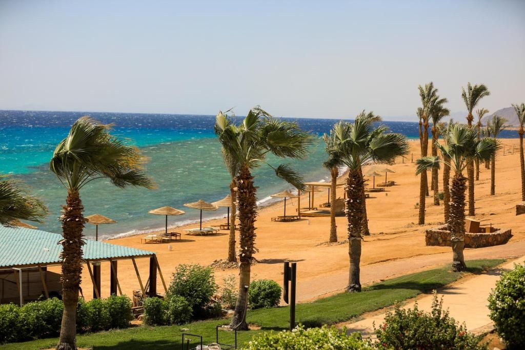 Retac Qunay Dahab Resort & SPA фото 69