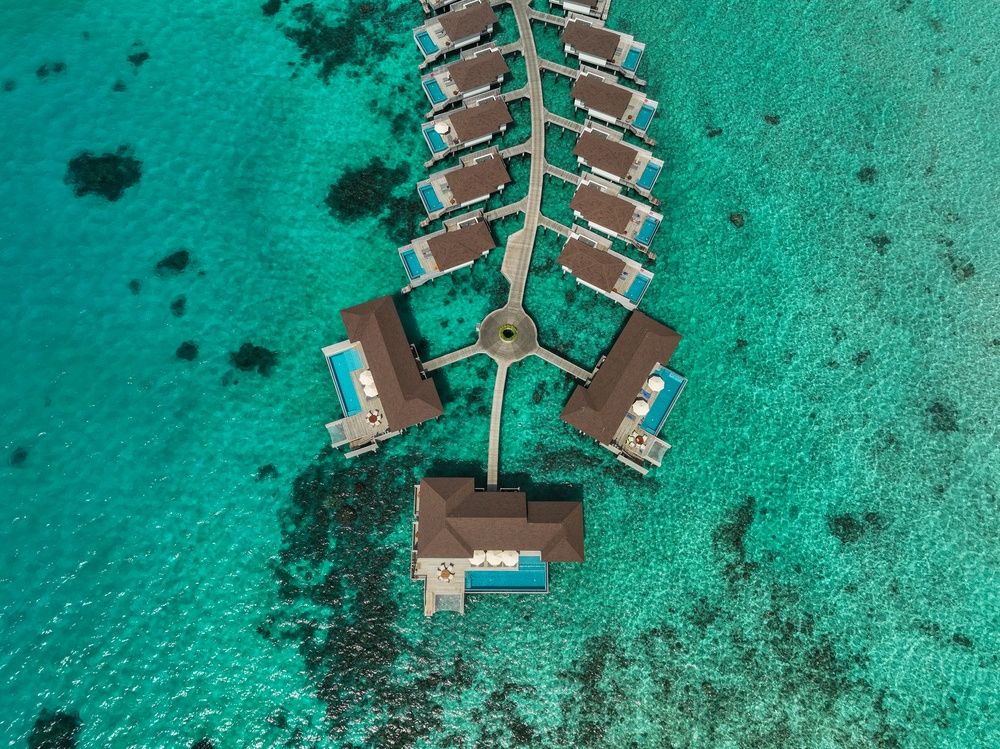 Avani+ Fares Maldives Resort фото 84
