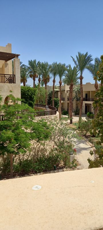 The Grand Hotel Sharm El Sheikh фото 199