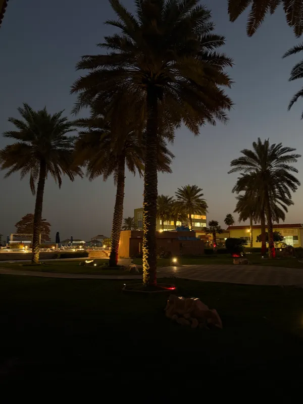 Flamingo Beach Resort фото 43