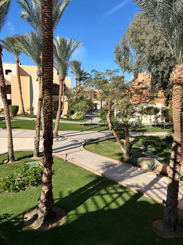 Jaz Makadi Oasis Resort фото 61