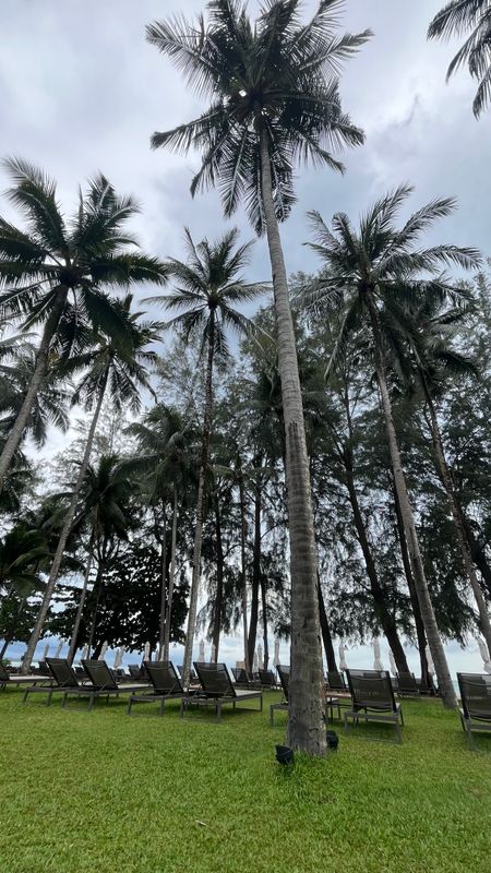 Outrigger Khao Lak Beach Resort фото 96