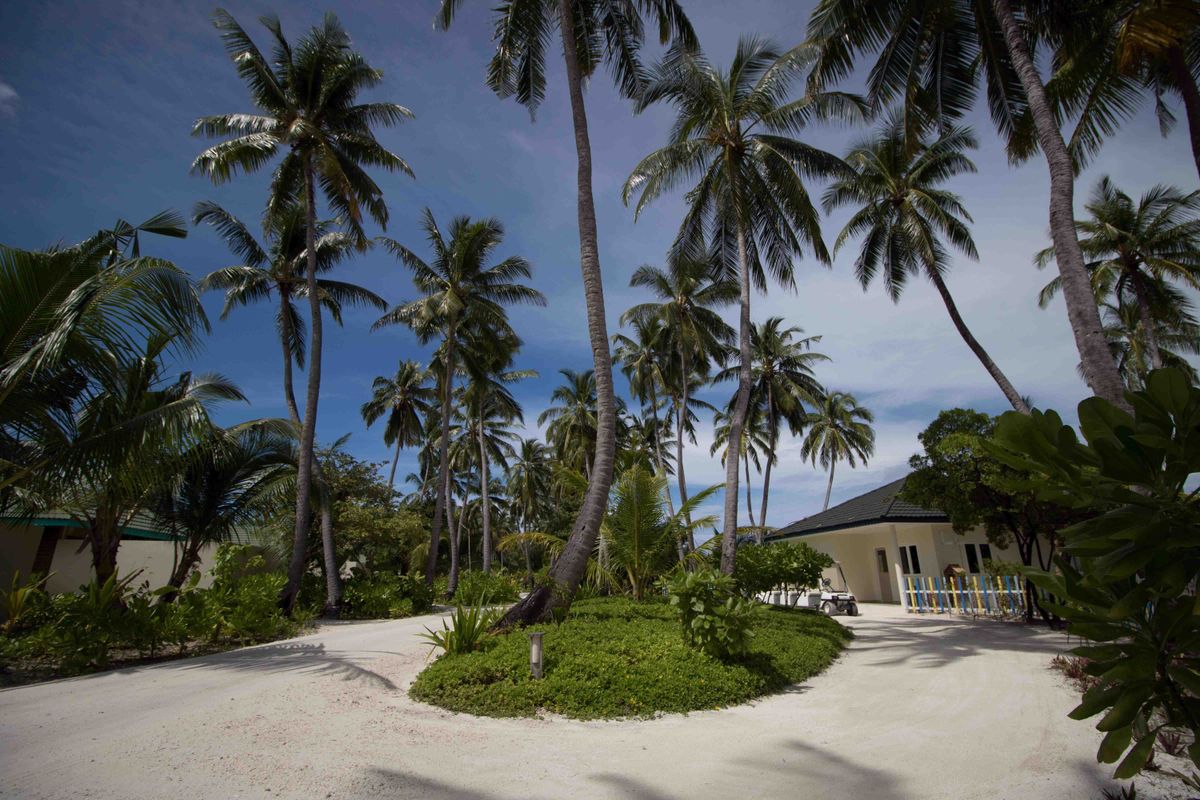 Canareef Resort фото 64