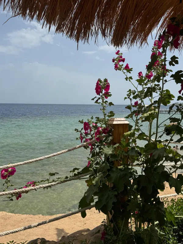 Sunrise Diamond Beach Resort - Grand Select фото 45
