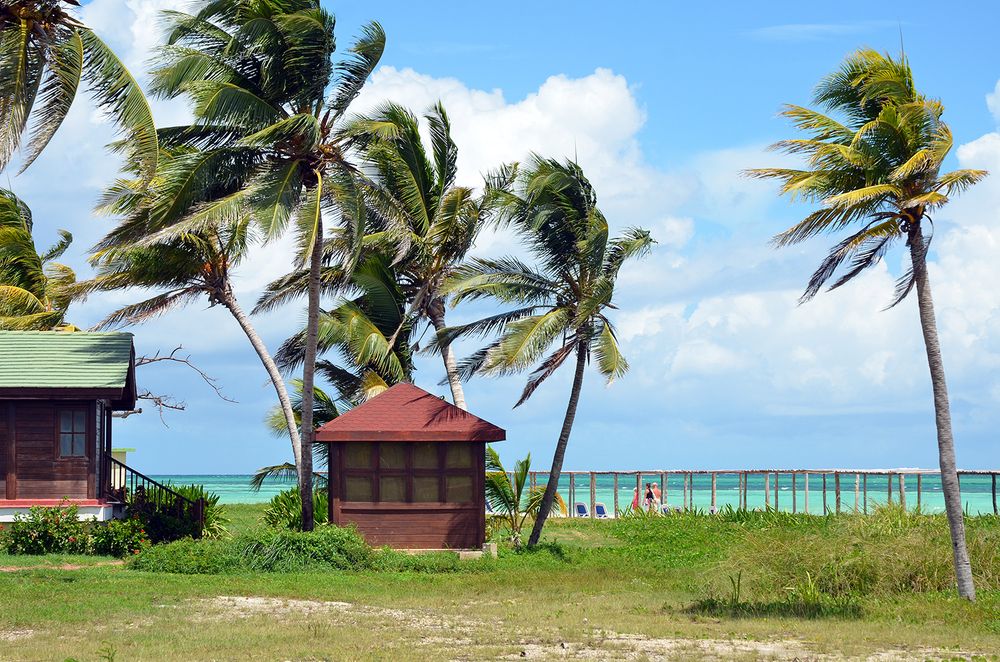 Gran Caribe Club Cayo Guillermo фото 77