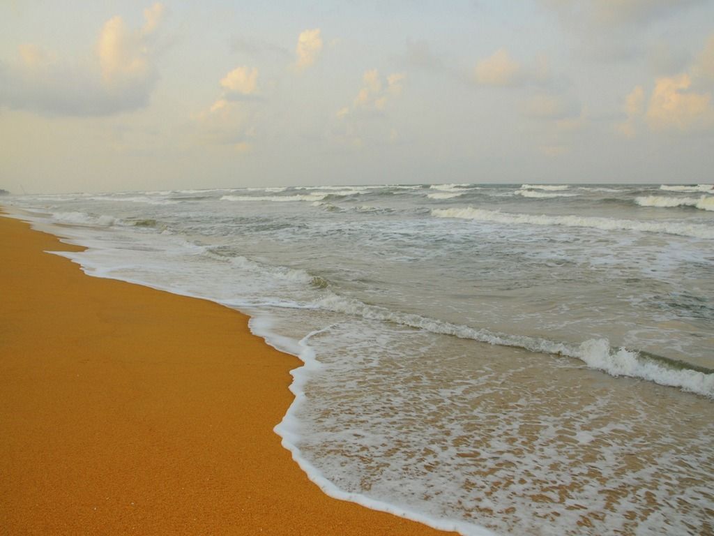 Ocean Ripples Resort фото 76