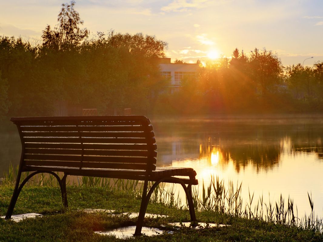 Тропикана Парк фото 8