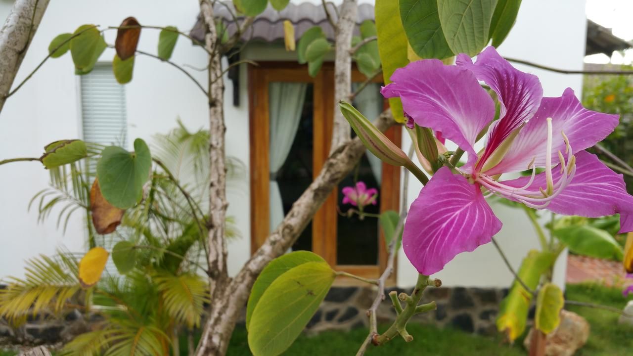 White Lotus Resort фото 3