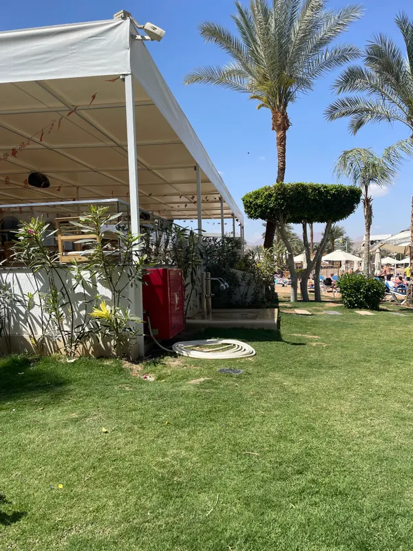 Jaz Neo Naama Bay фото 45