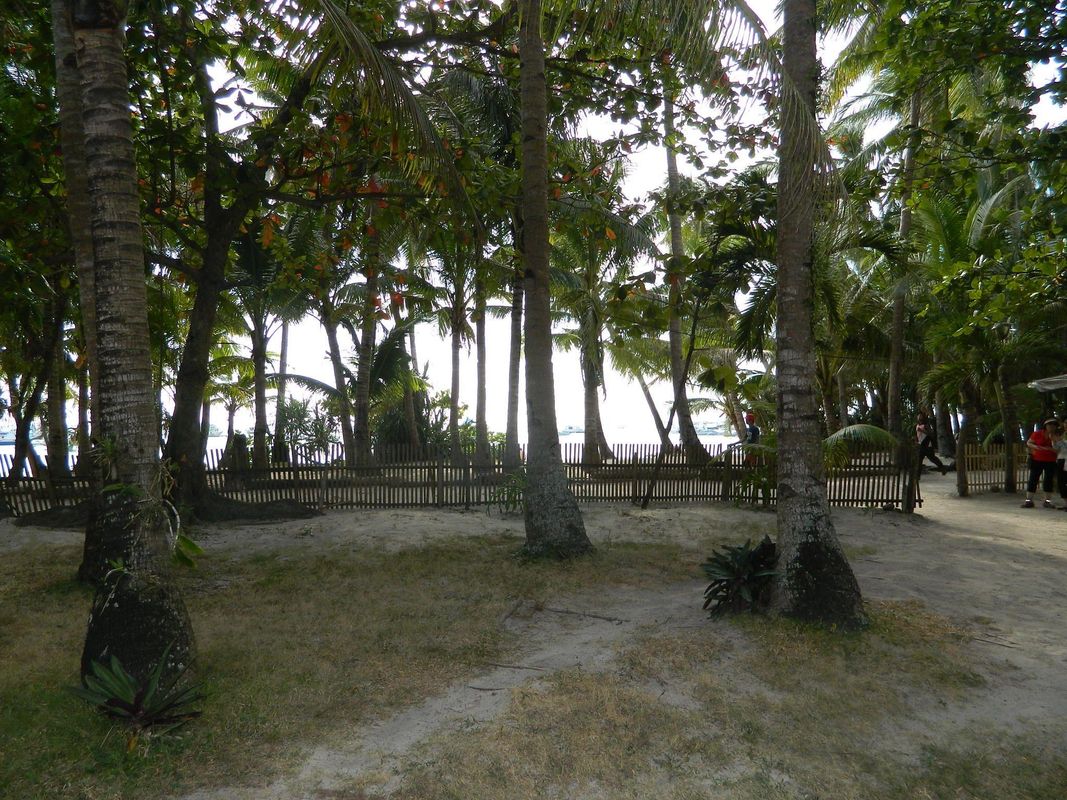 Boracay Huts фото 10