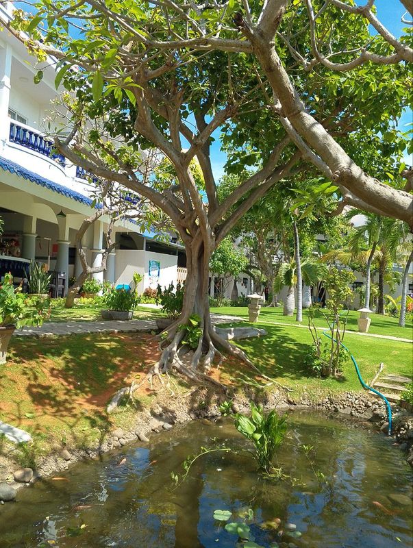 Dynasty Muine Beach Resort фото 78