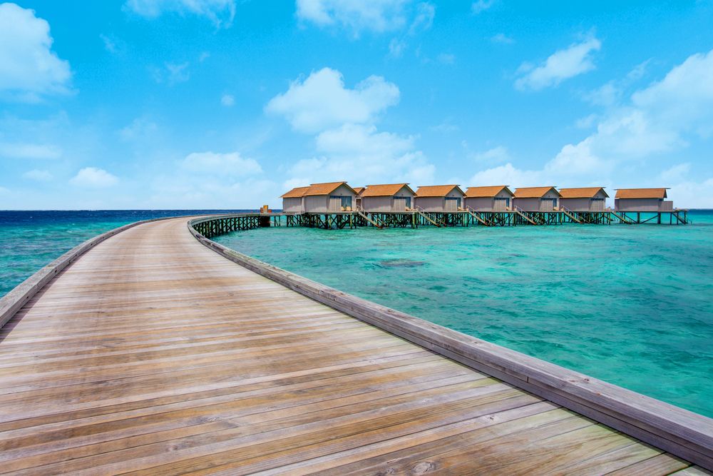 Centara Ras Fushi Resort & Spa Maldives (Adults Only) фото 42
