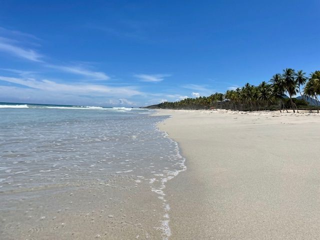 Hesperia Playa El Agua фото 41