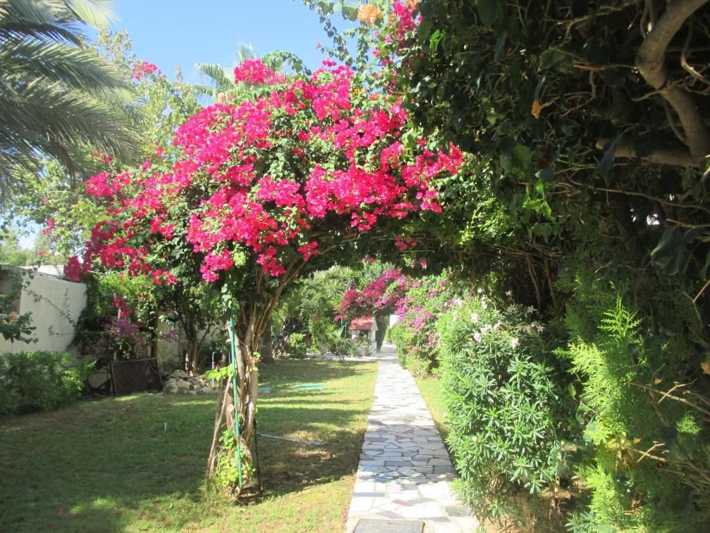 Tsialis Hotel Apartments фото 18