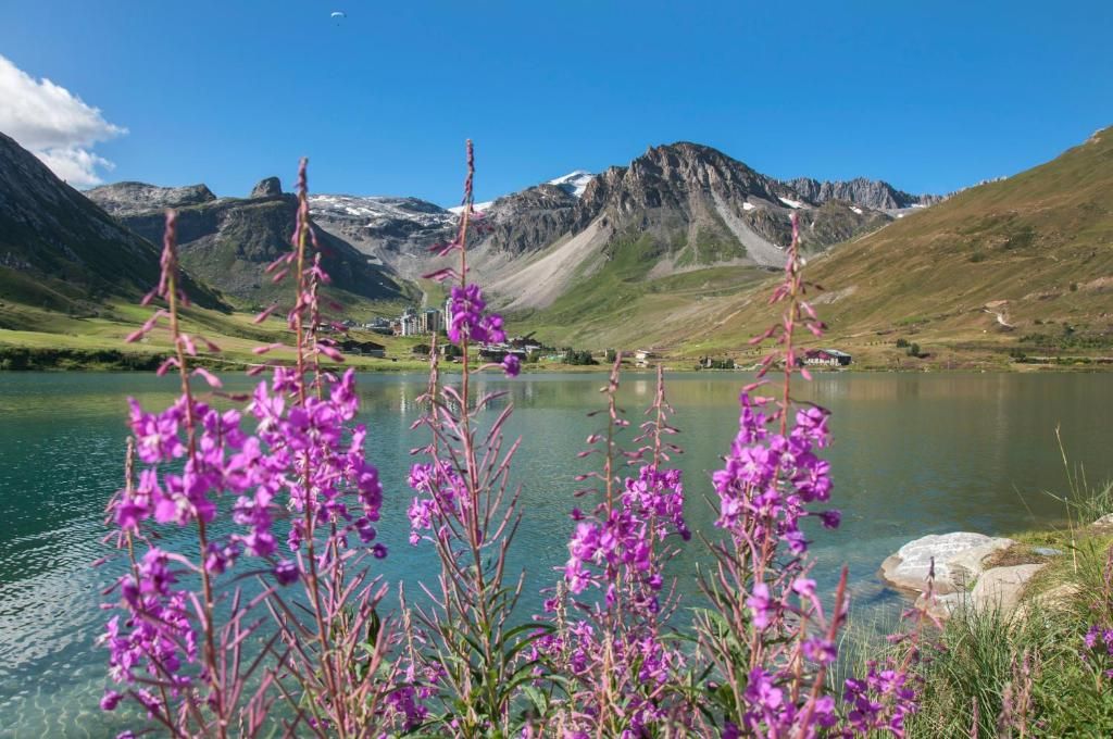 Les Suites – Maison Bouvier фото 14