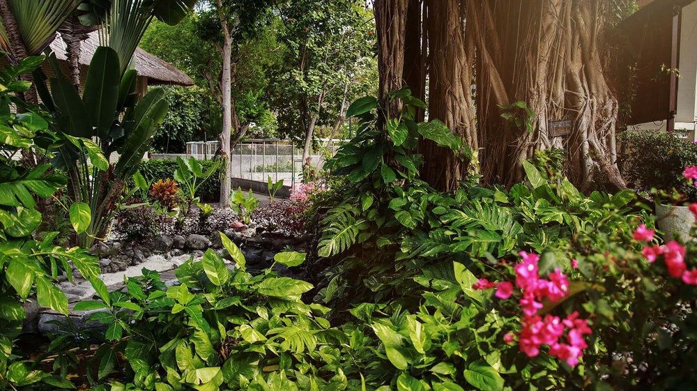 Mercure Resort Sanur фото 60