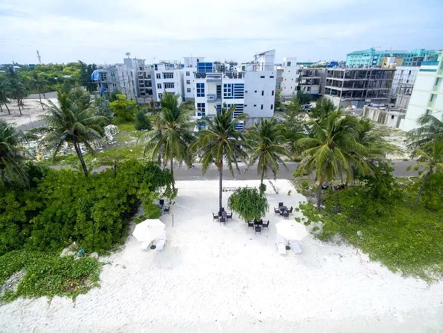Guest House «The White Harp Beach Guest House» фото 0