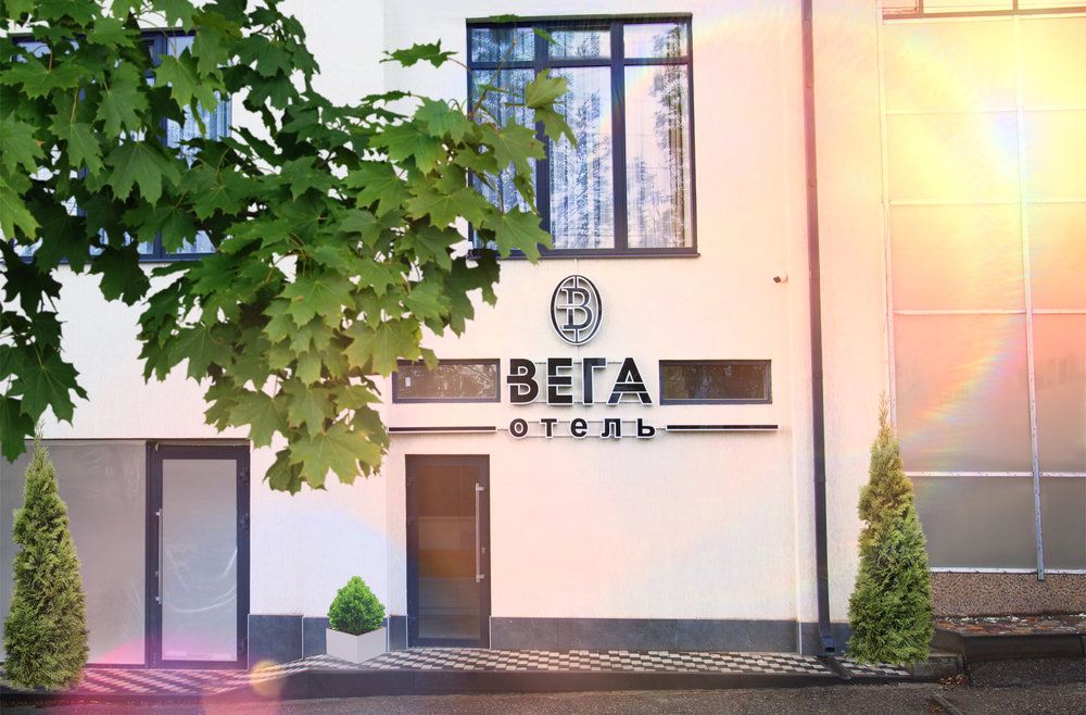 Вега фото 11