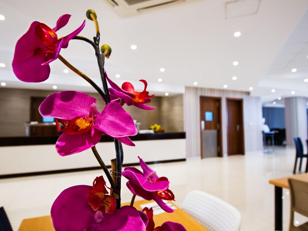 Blubay Hotel & Apartments фото 3