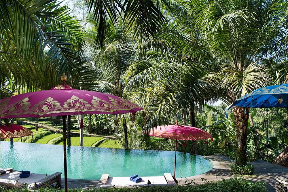 Blue Karma Dijiwa Ubud фото 26