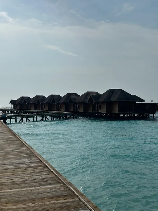 Fihalhohi Maldives фото 34