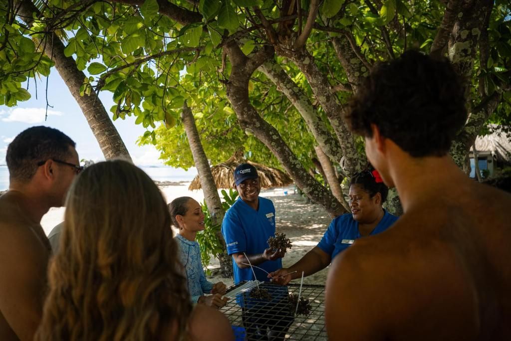 Castaway Island фото 37