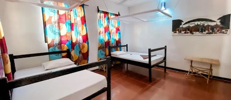 Фото отеля Papaya Guest House Nungwi