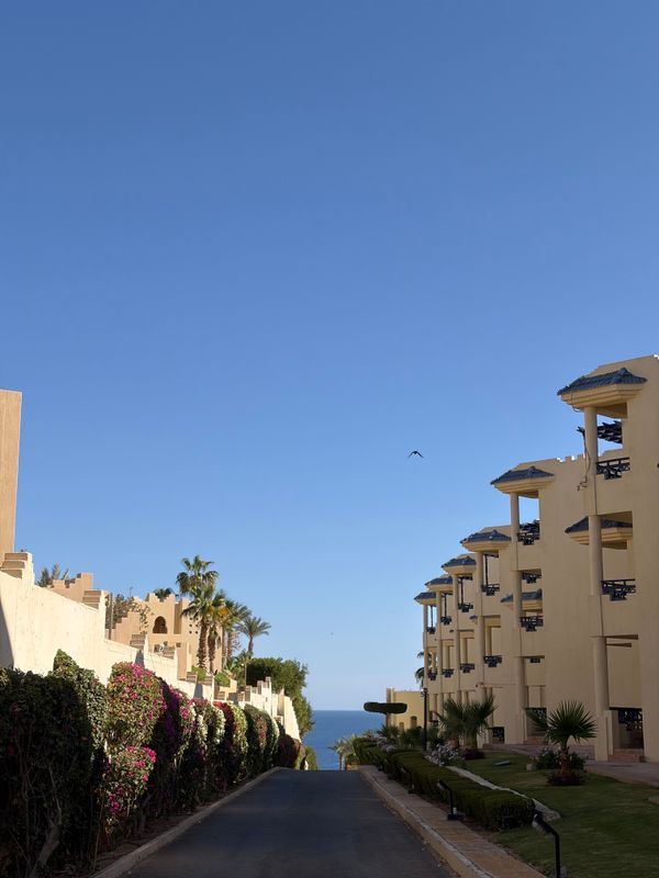 Grand Oasis Resort фото 64