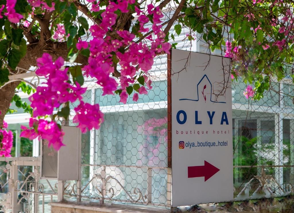 Olya Boutique Hotel фото 27