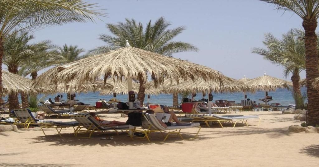 Sharm Dreams Vacation Club фото 60
